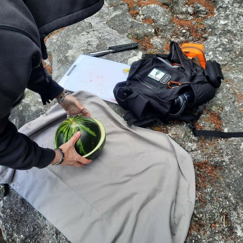 assessing a melon's weight by hand in the field